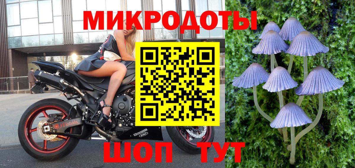 Галлюциногенные грибы GOLDEN TEACHER Знаменск